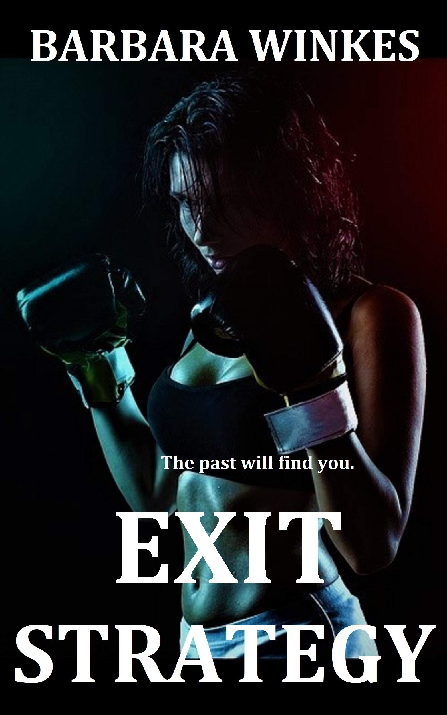 Joanna Mitchell Thrillers book cover 2