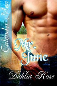Mr. June book cover