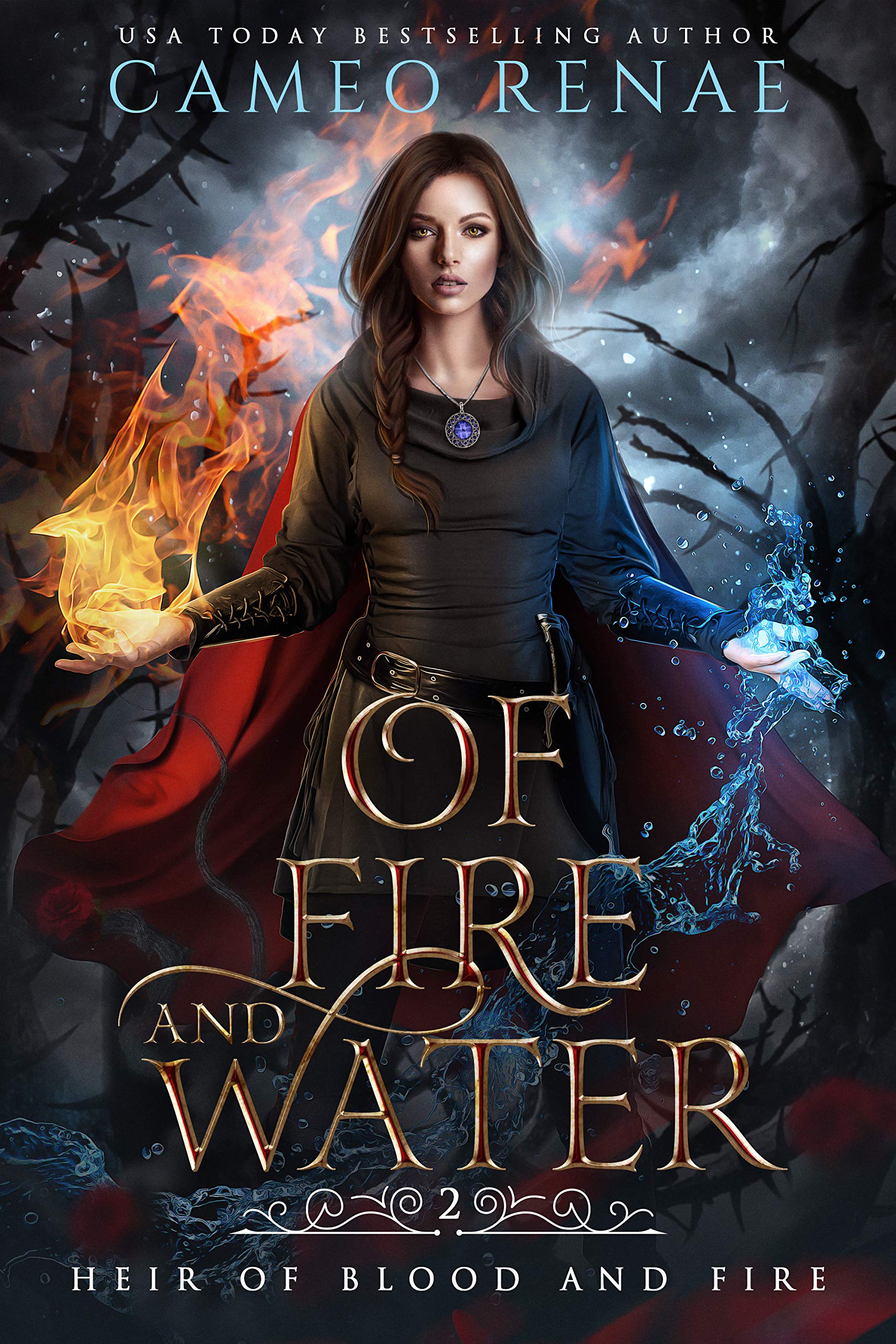 Heir of Blood and Fire book cover 2