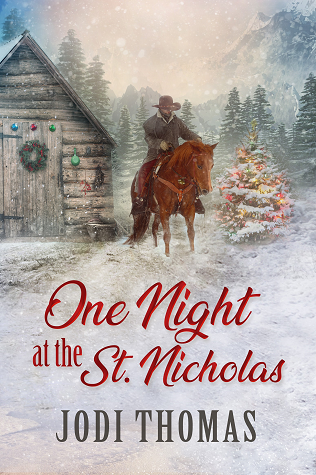 One Night at the St. Nicholas book cover