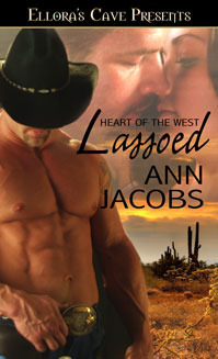 Heart of the West book cover 3