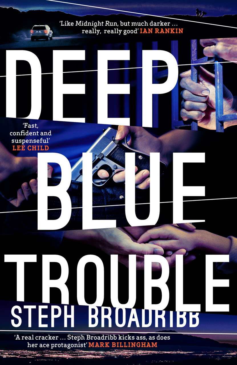 Lori Anderson book cover 2