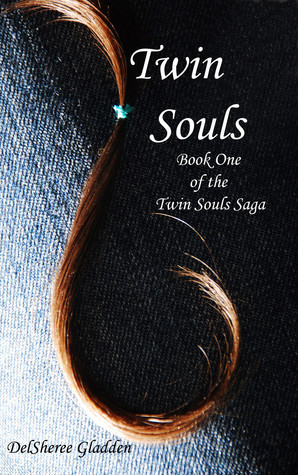Twin Souls book cover 1