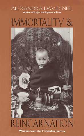 Immortality and Reincarnation book cover
