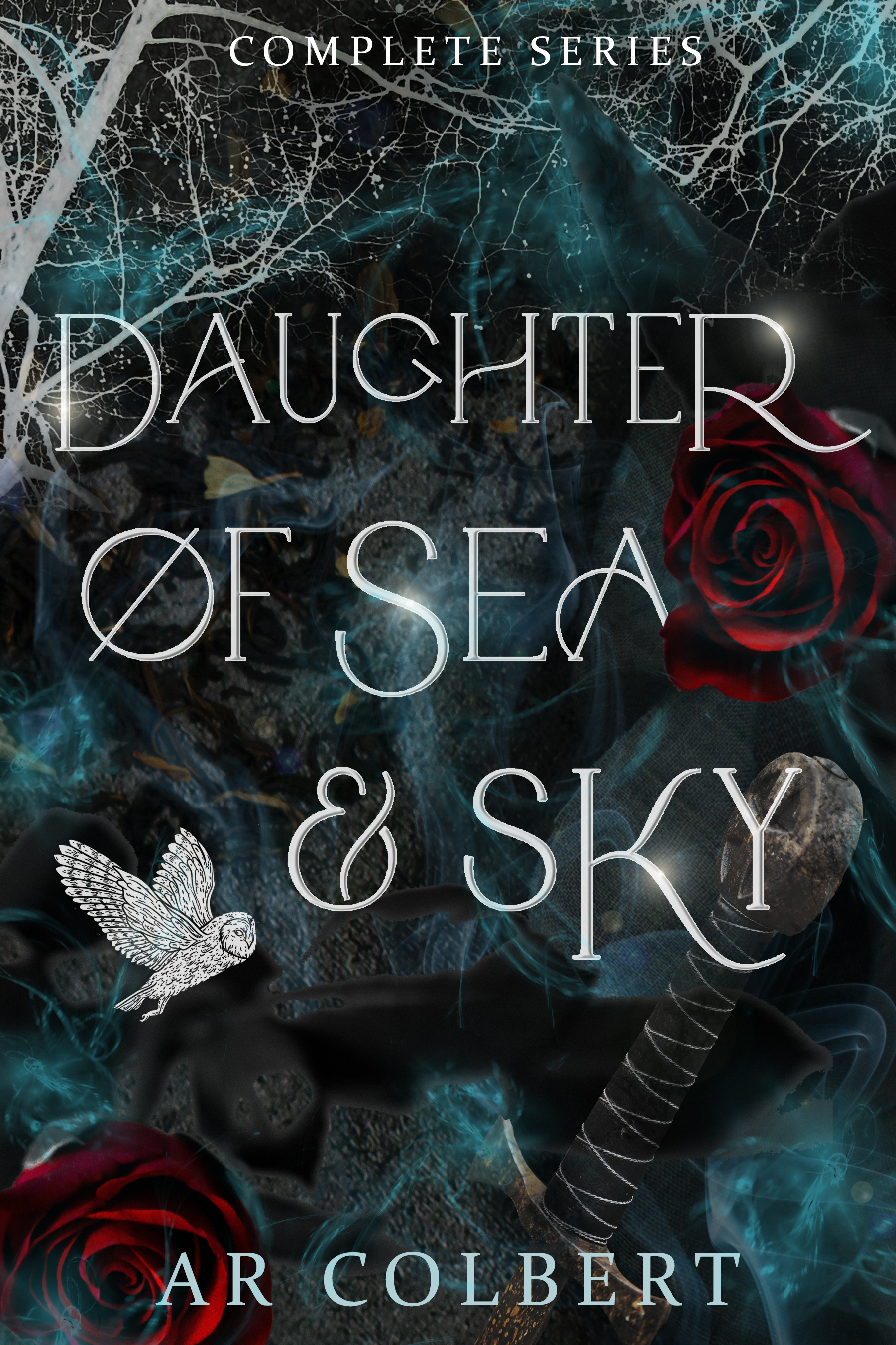 Daughter of Sea and Sky book cover