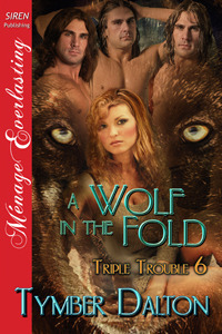 A Wolf in the Fold book cover