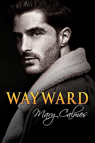 Wayward book cover