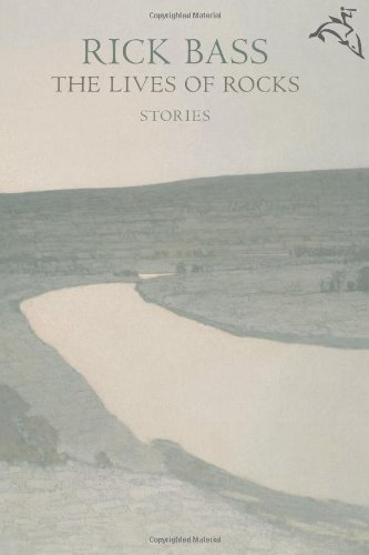 The Lives of Rocks book cover