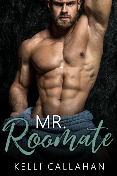 Mr. Roommate book cover