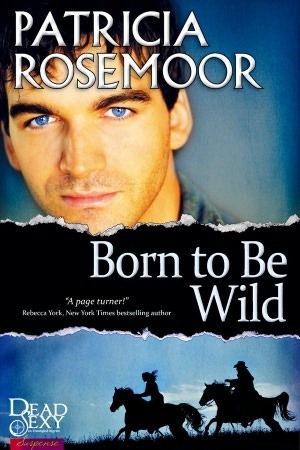 Born to Be Wild book cover