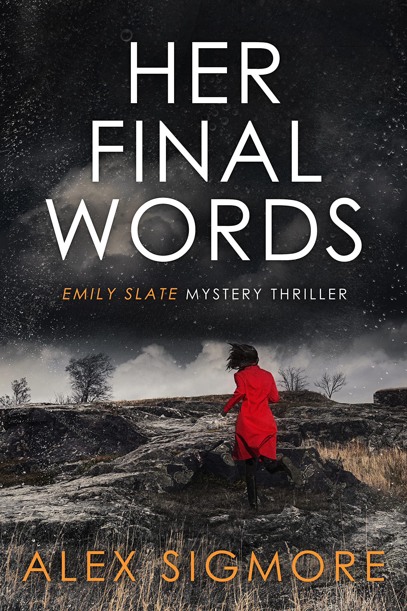 Her Final Words book cover