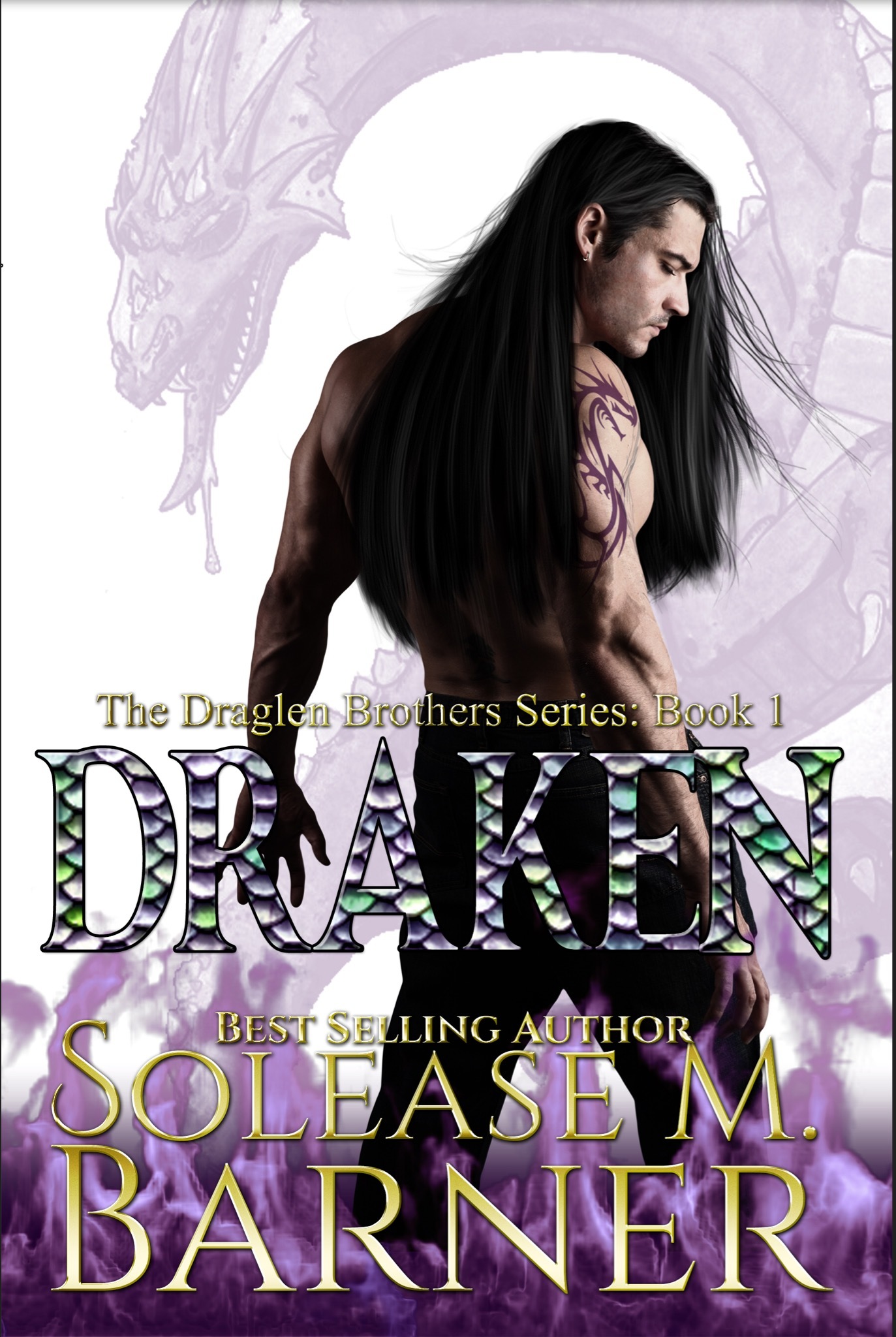 The Draglen Brothers book cover 1