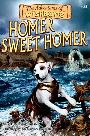 Homer Sweet Homer book cover