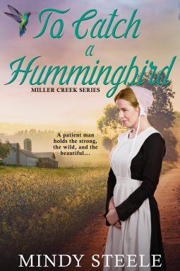 To Catch a Hummingbird book cover