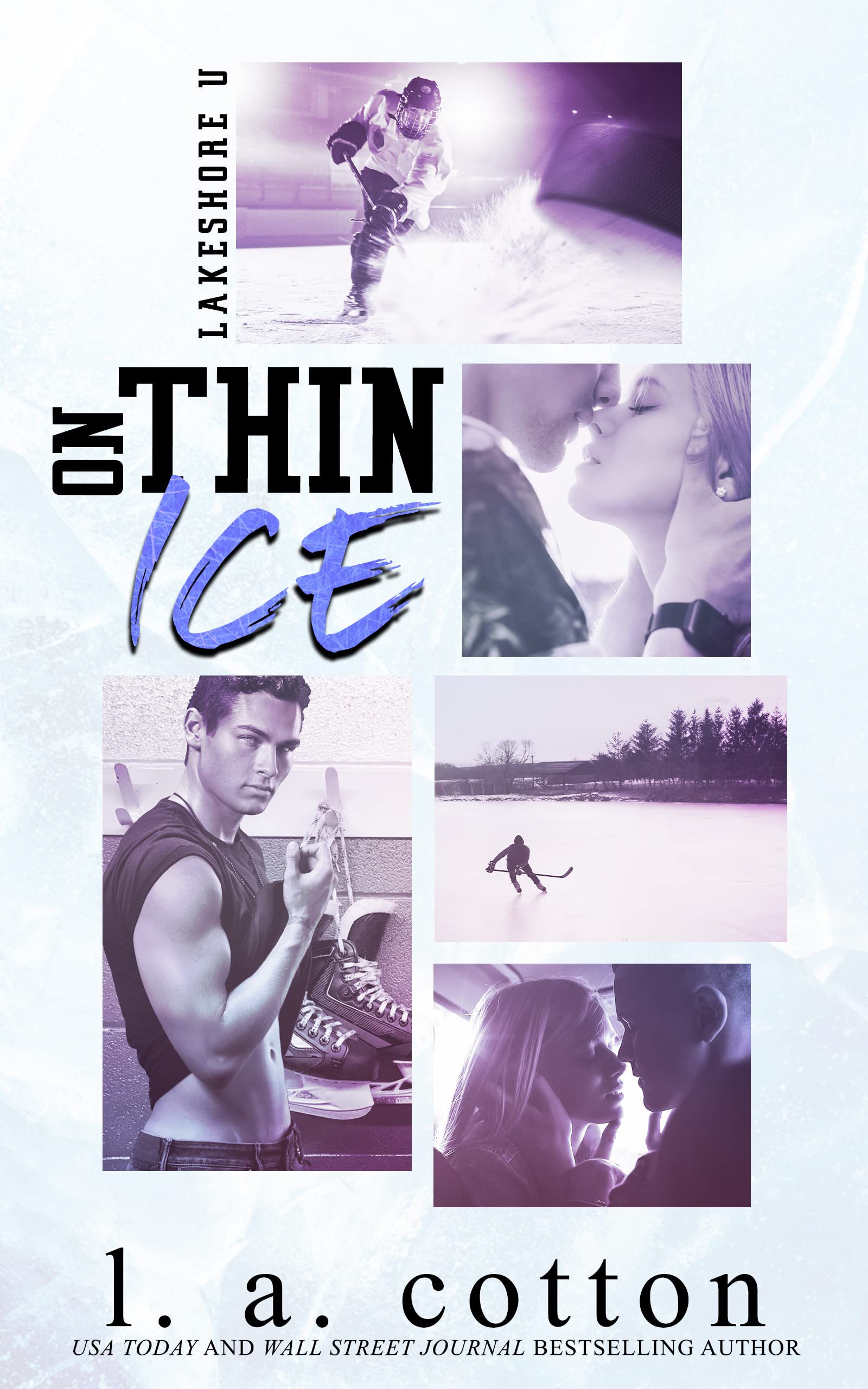 Lakeshore U book cover 2