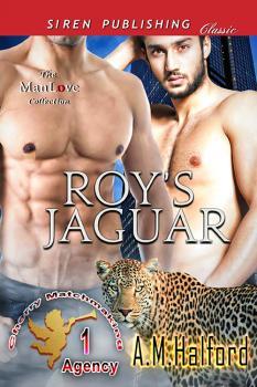 Cherry Matchmaking Agency book cover 1