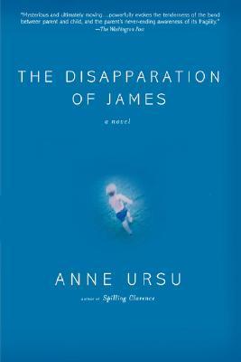 The Disapparation of James book cover