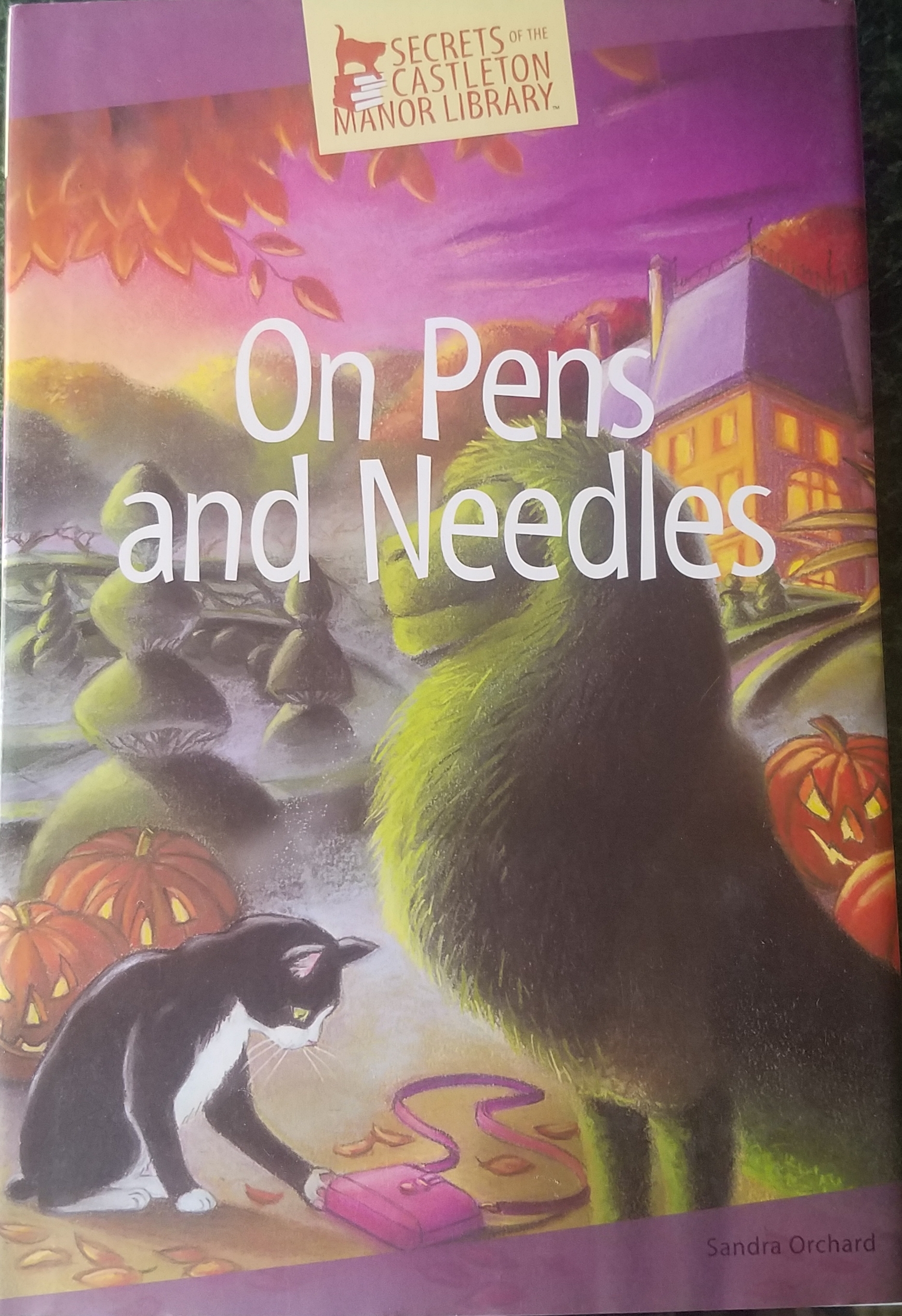 On Pens and Needles book cover