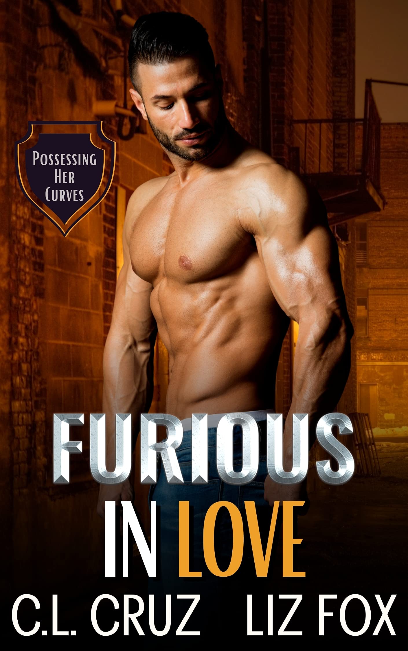 Furious in Love book cover