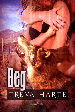 Beg book cover