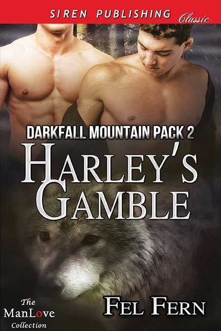 Darkfall Mountain Pack book cover 2