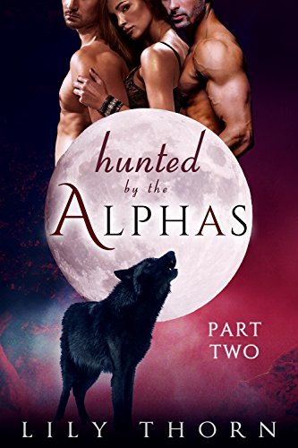 Hunted by the Alphas book cover 2
