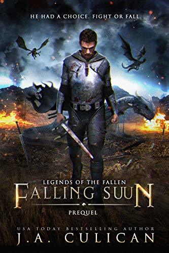 Falling Suun book cover