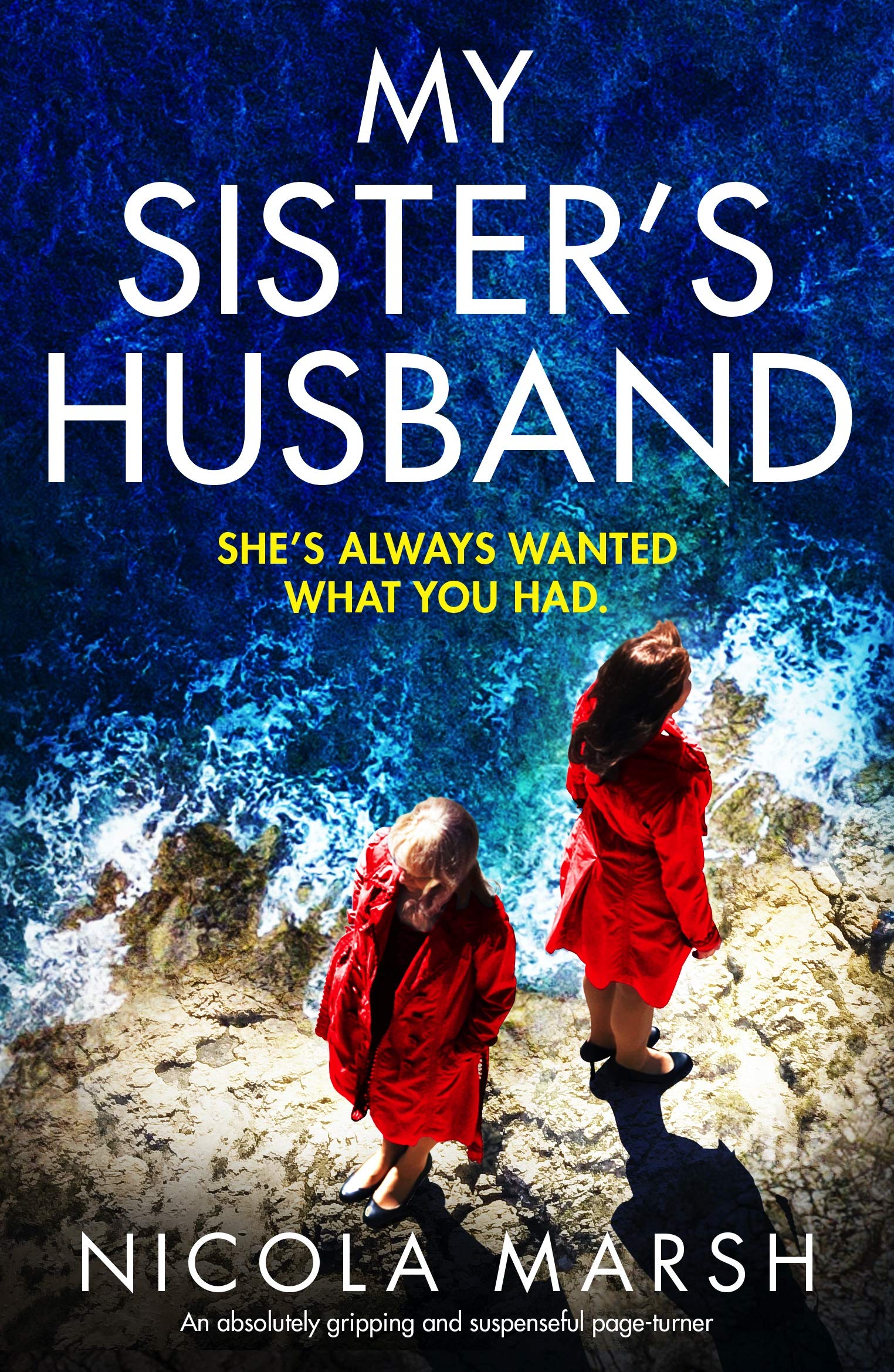 My Sister's Husband book cover
