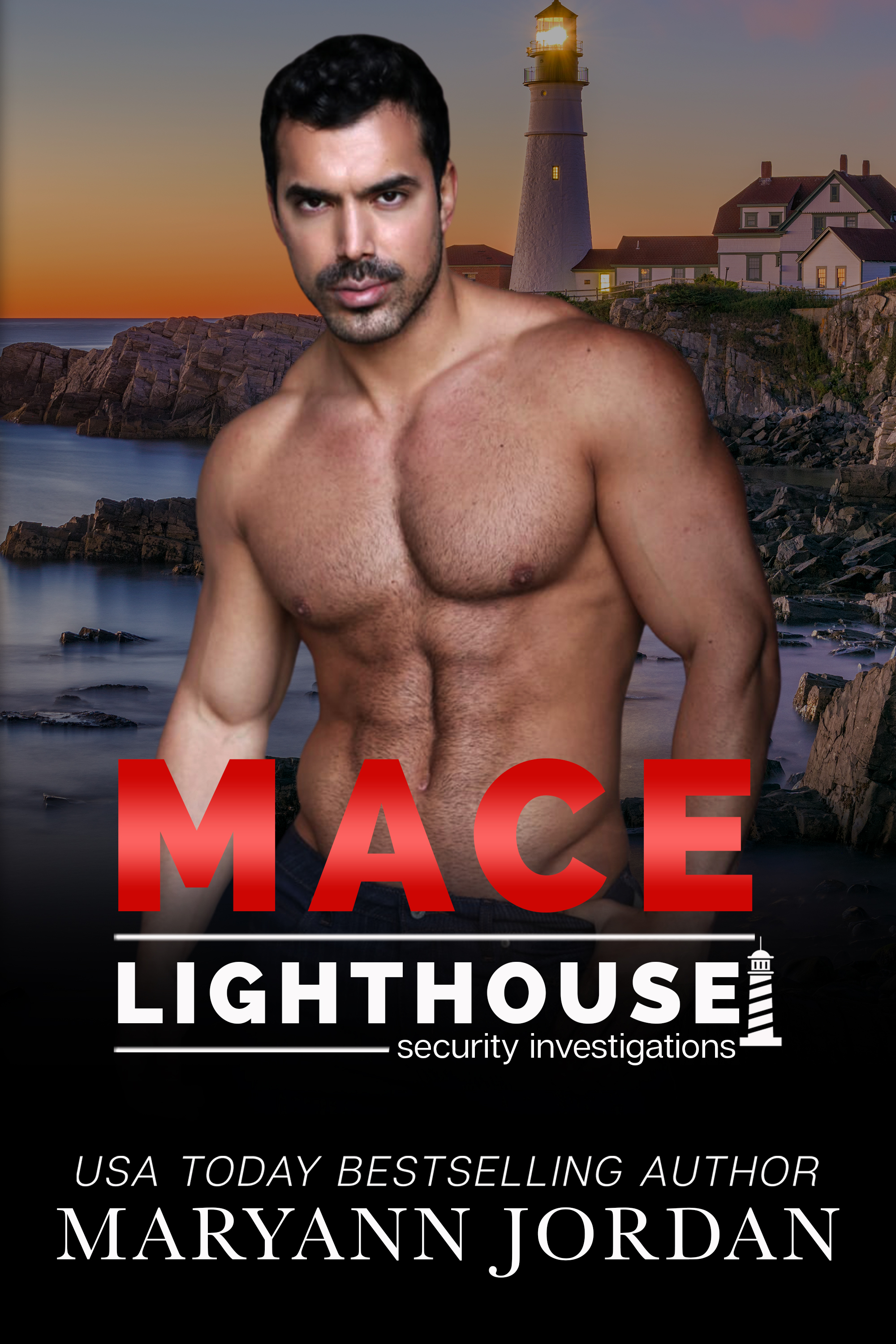 Lighthouse Security Investigations book cover 1