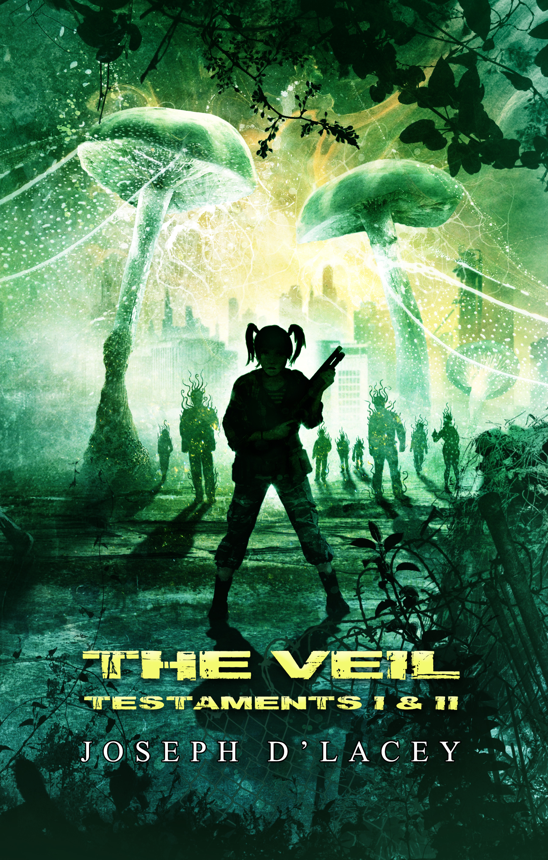 The Veil book cover