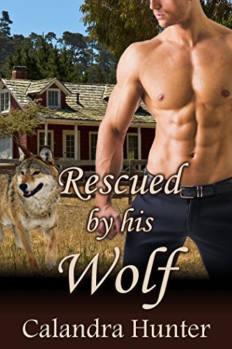 Rescued by His Wolf book cover