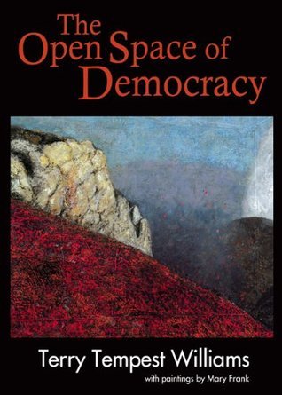 The Open Space of Democracy book cover