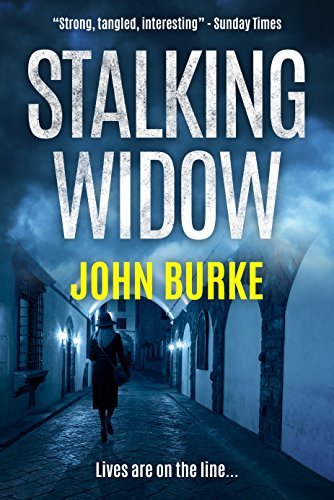 Stalking Widow book cover