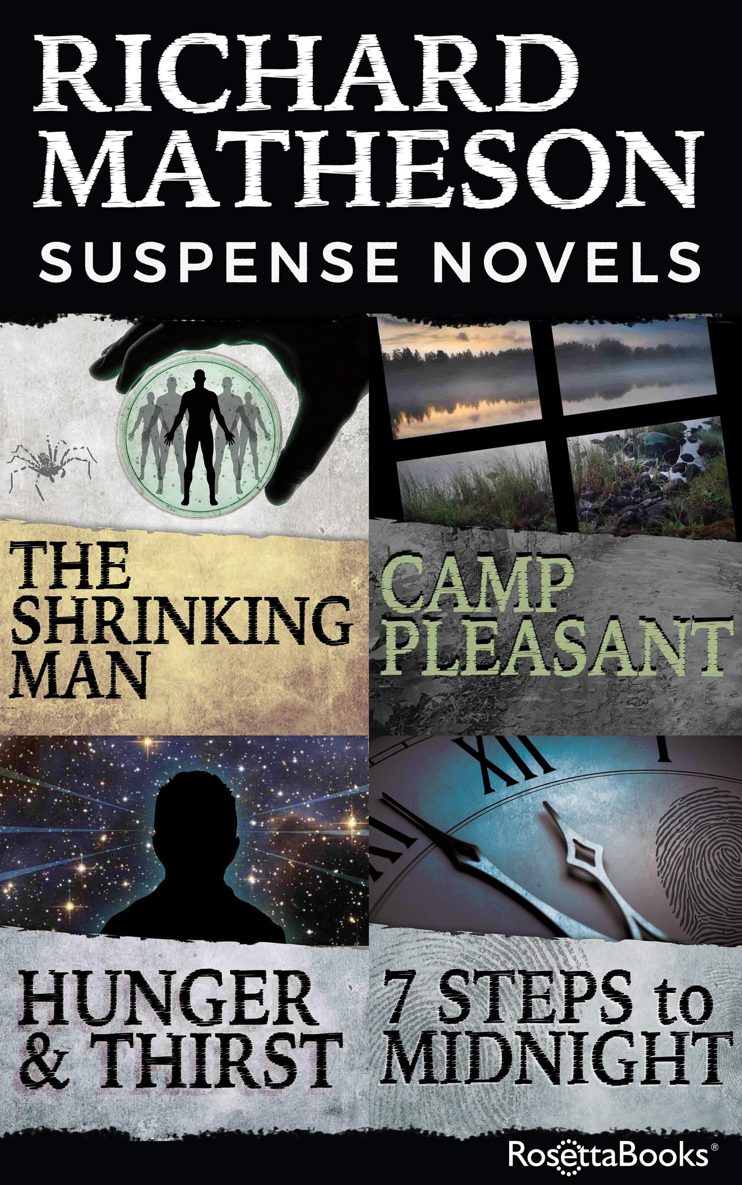 Richard Matheson Suspense Novels book cover