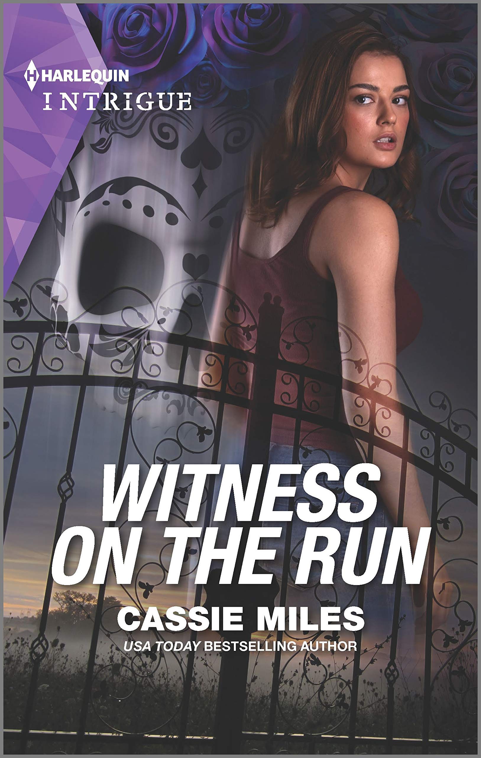 Witness on the Run book cover