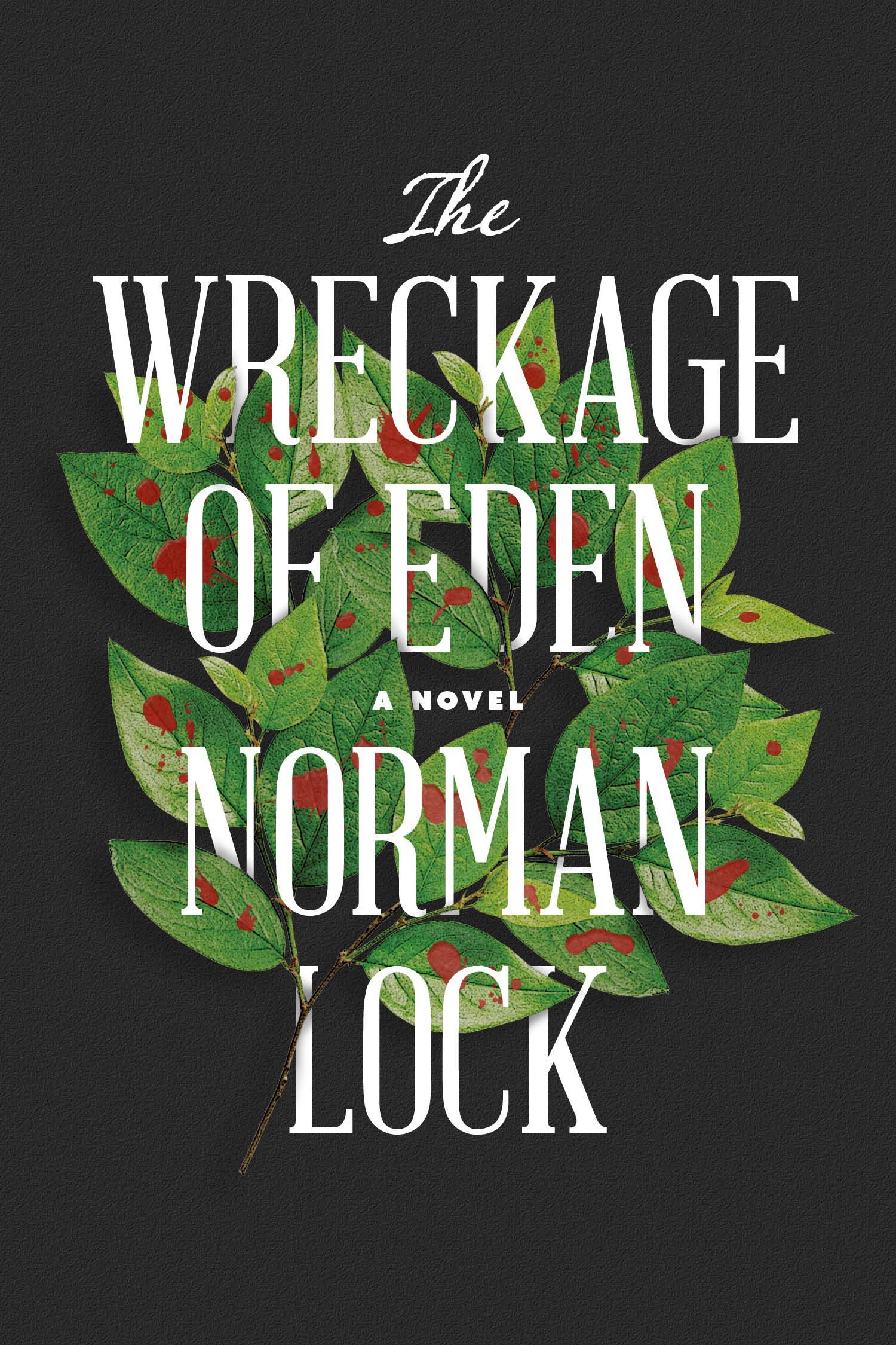 The Wreckage of Eden book cover