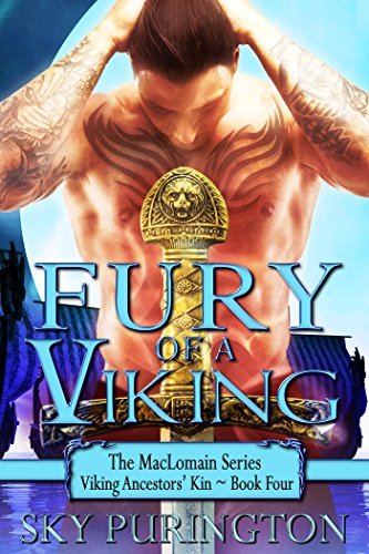 Fury of a Viking book cover