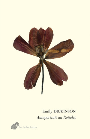 Autoportrait au roitelet book cover