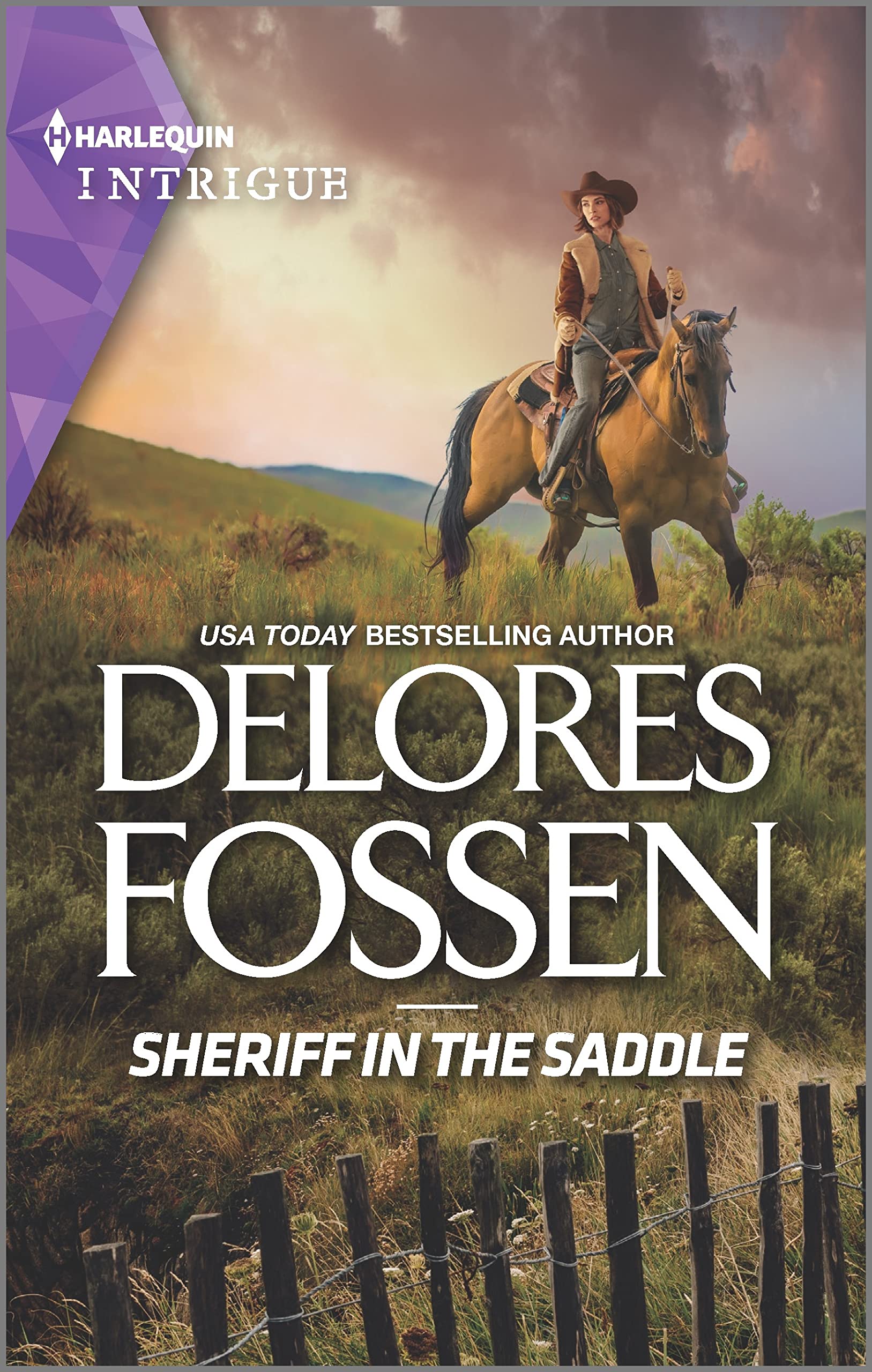 The Law in Lubbock County book cover 1