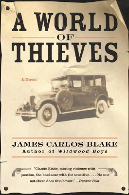 A World of Thieves book cover