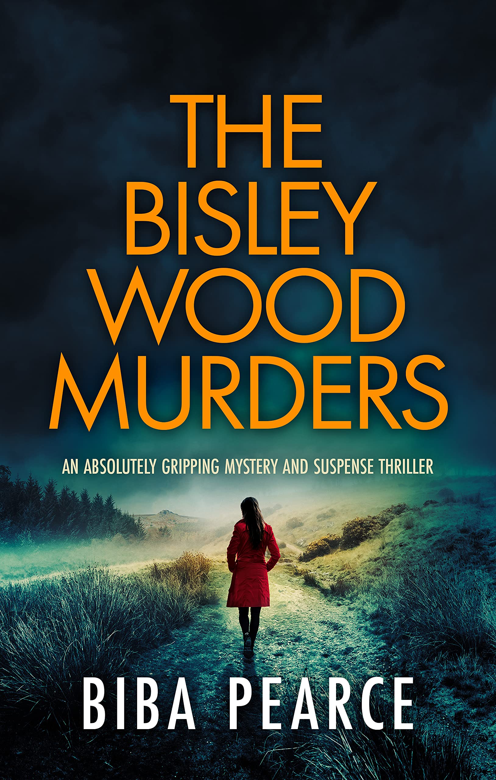 Detective Rob Miller book cover 3