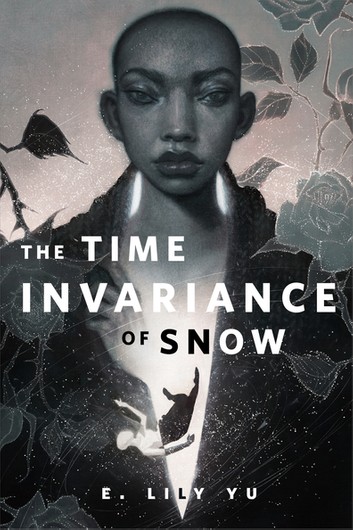 The Time Invariance of Snow book cover