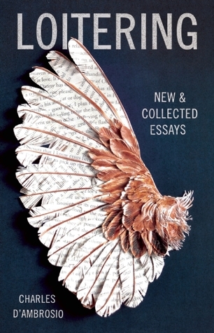 Loitering book cover