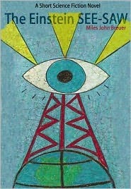 The Einstein See-Saw book cover