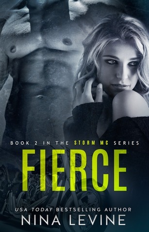Storm MC book cover 2