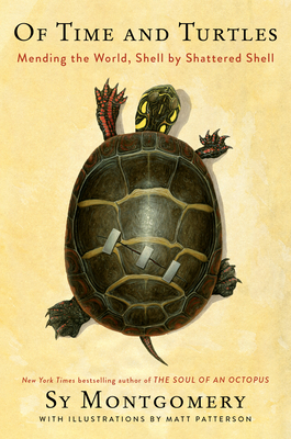 Of Time and Turtles book cover