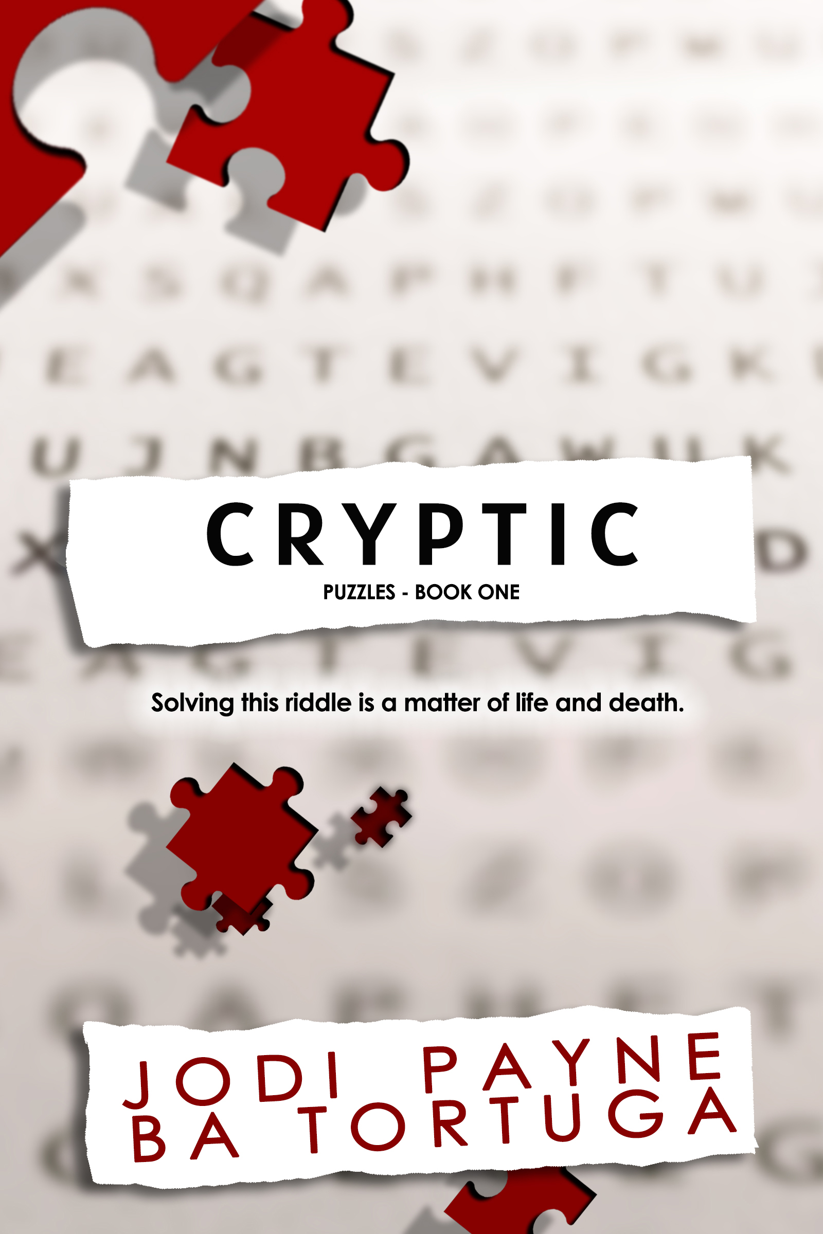 Puzzles book cover 1