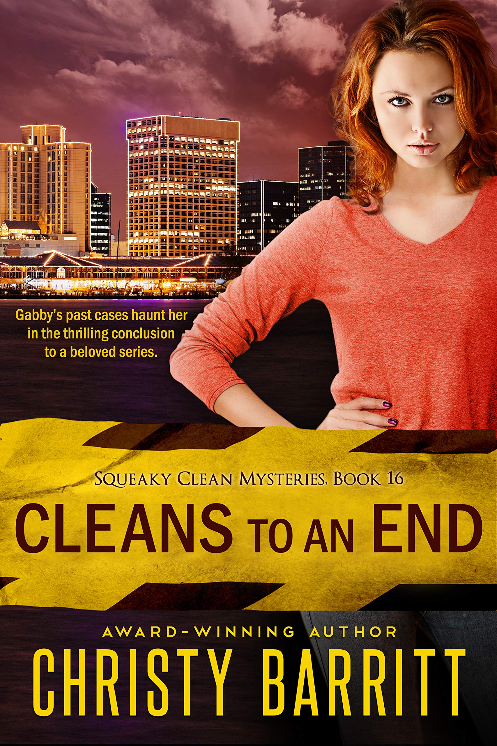 Cleans to an End book cover