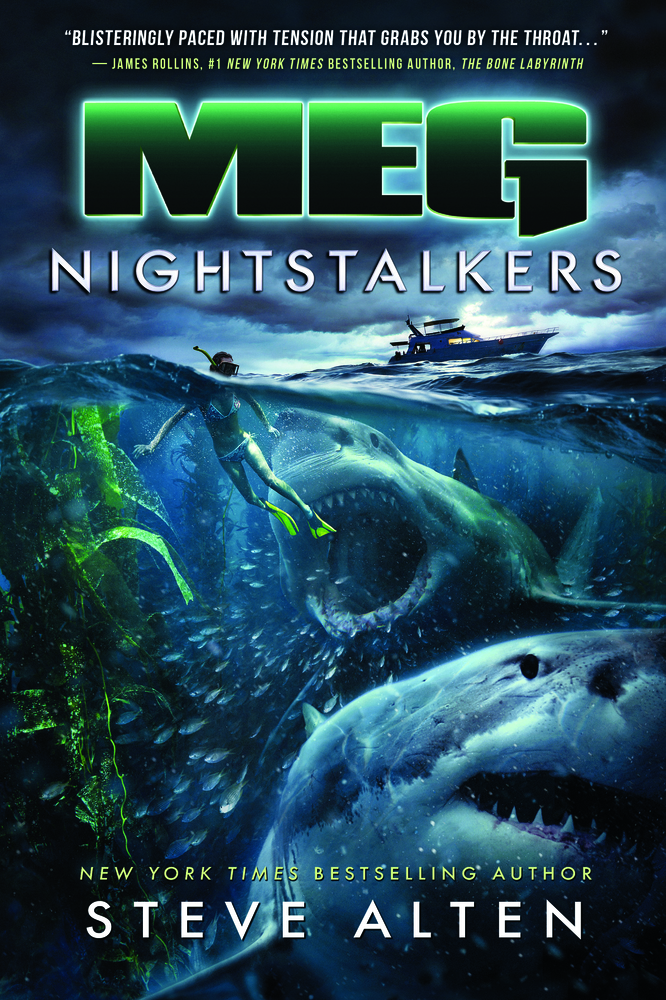 Nightstalkers book cover
