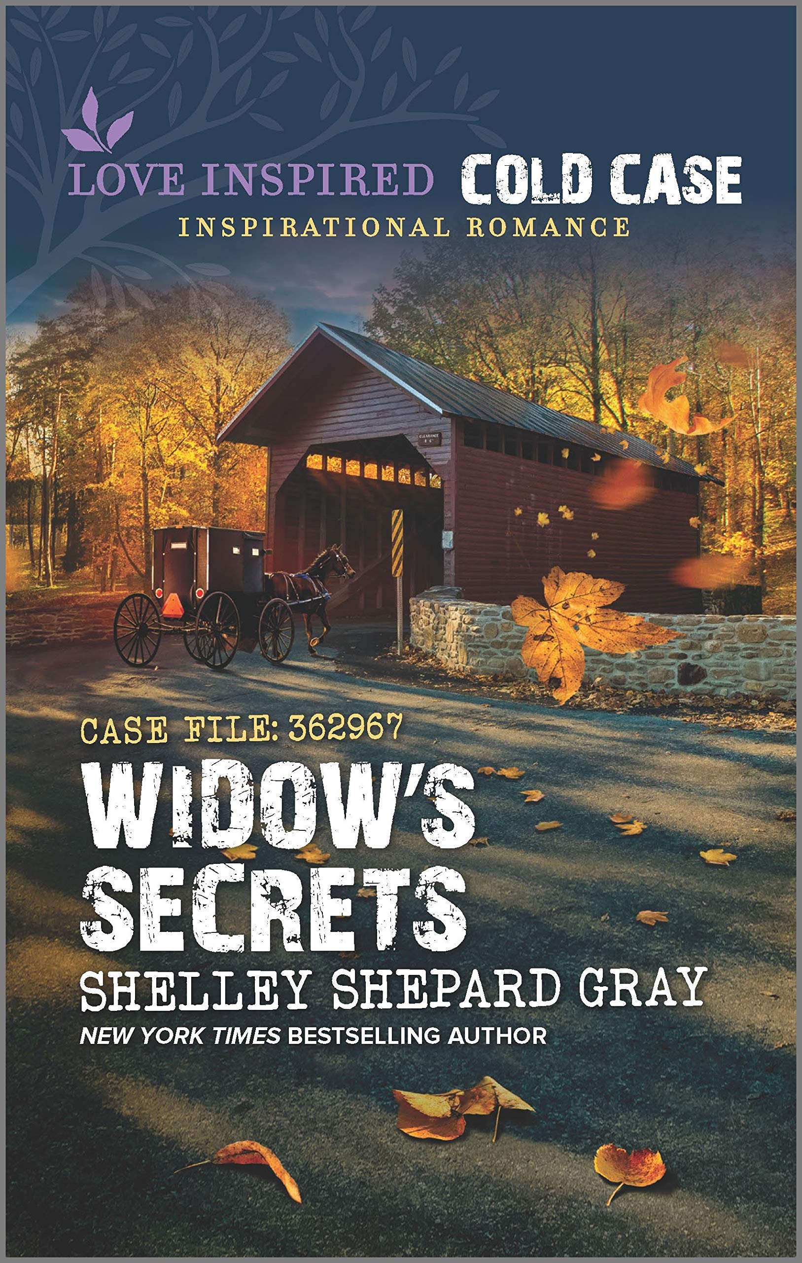Widow's Secrets book cover
